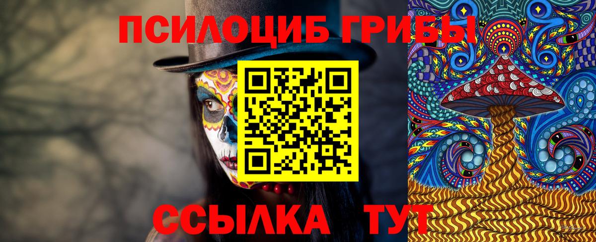 Галлюциногенные грибы Magic Shrooms  цена   Лесозаводск  Галлюциногенные грибы Psilocybe  Вход с VPN 